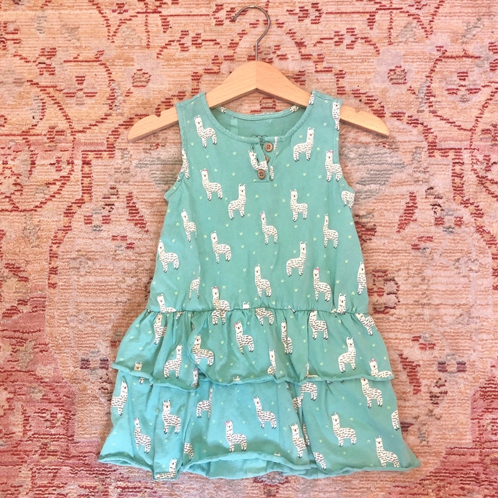 Egg by Susan Lazar llama dress